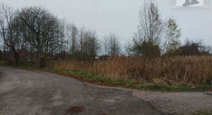 Купить земельный участок, Россия, г. Раздольное. Фотография №9