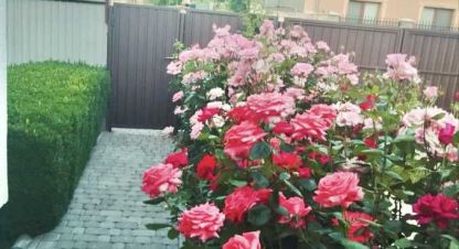 Сдаётся дом в г. Берегово . Фотография №7