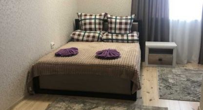 Снять дом 8-ти комнатную, 180 кв. м., Украина, г. Берегово . Фотография №8