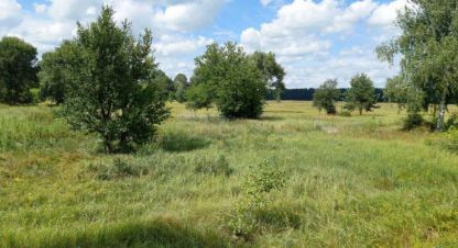 Купить земельный участок г. Остер . Фотография №5