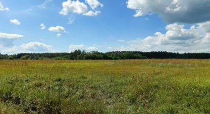 Купить земельный участок в г. Остер . Фотография №3