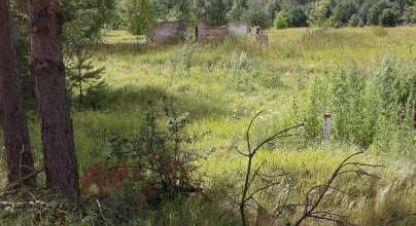 Купить земельный участок г. Остер . Фотография №4