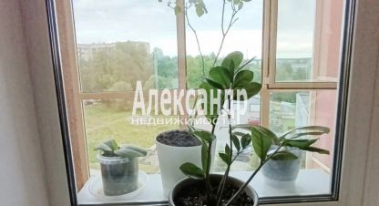 Купить квартиру, 27.3 кв. м., Россия, г. Мурино. Фотография №9