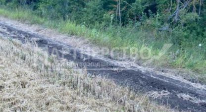 Купить земельный участок в г. Азовская. Фотография №3